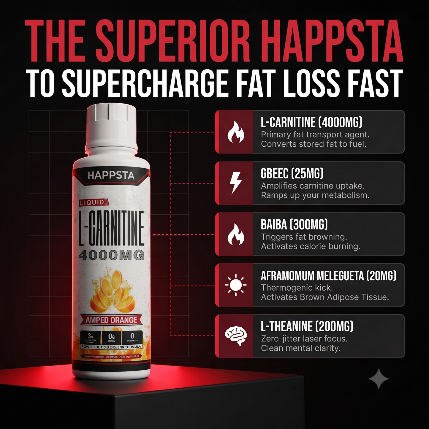 HAPPSTA 4000™ Liquid Carnitine Complex | Burn Fat 3X Faster