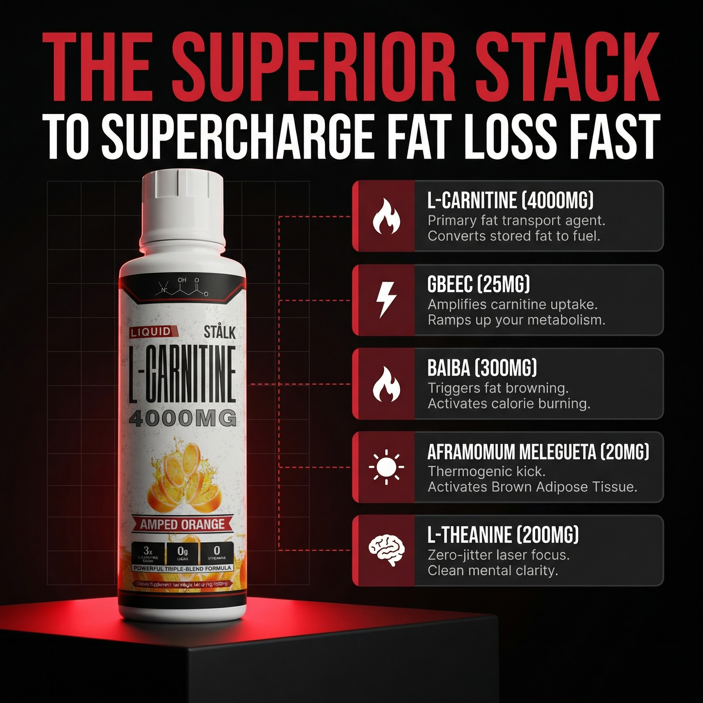 HAPPSTA 4000™ Liquid Carnitine Complex | Burn Fat 3X Faster